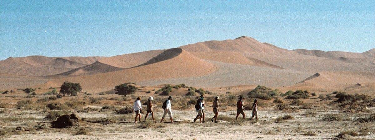 Classic Namibia Safari