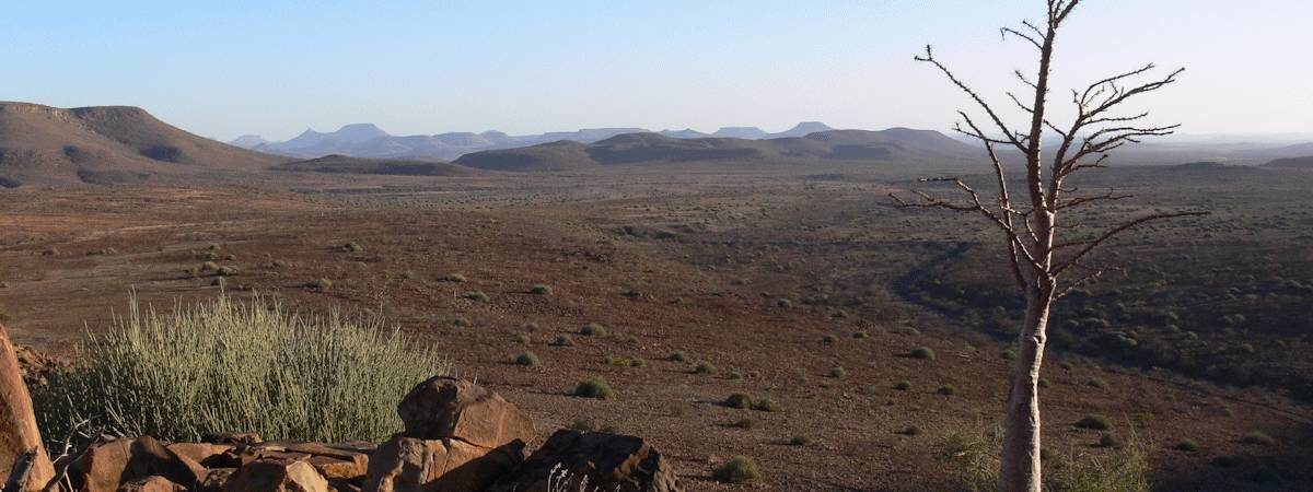 Namibia Elephant & Kunene Safari