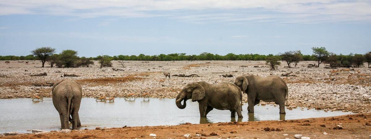 Namibia Northern Swing Safari