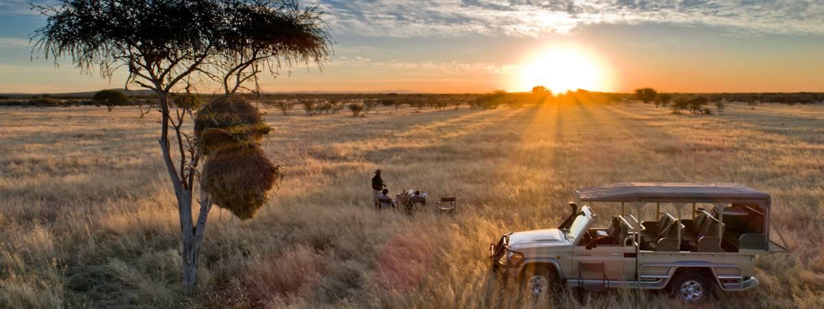 Northern Namibia Family Safari