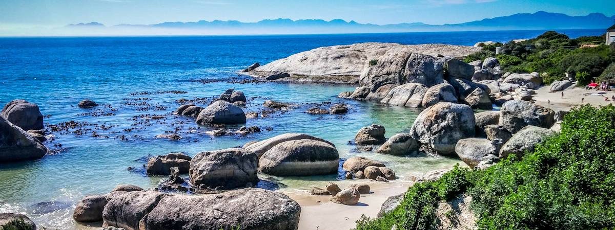 Boulders Beach Penguins near Simon's Town