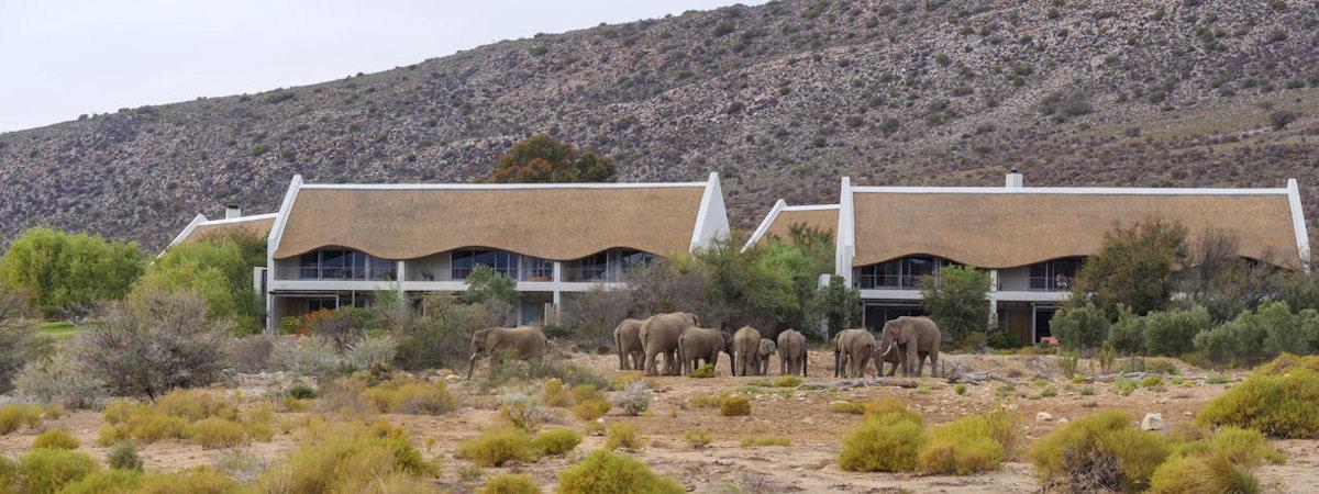 Gondwana Family Lodge in the "Big 5" Sanbona Wildlife Reserve