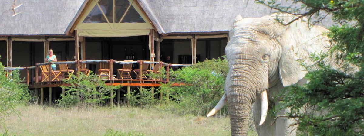 Amakhala Bush Lodge