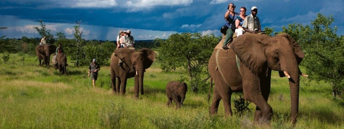 Addo Elephant Safari lodge