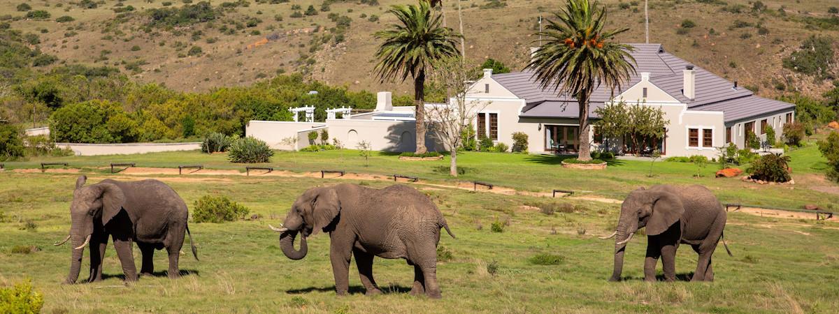 Lalibela Mills Manor in the Lalibela Game Reserve