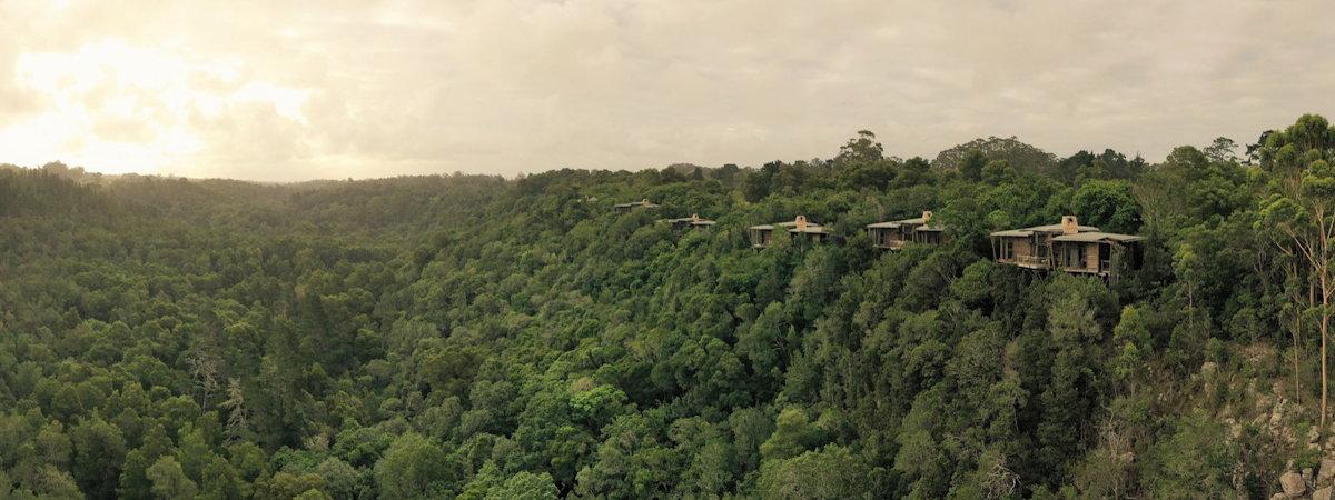 Tsala Treetop Lodge near Plettenberg Bay