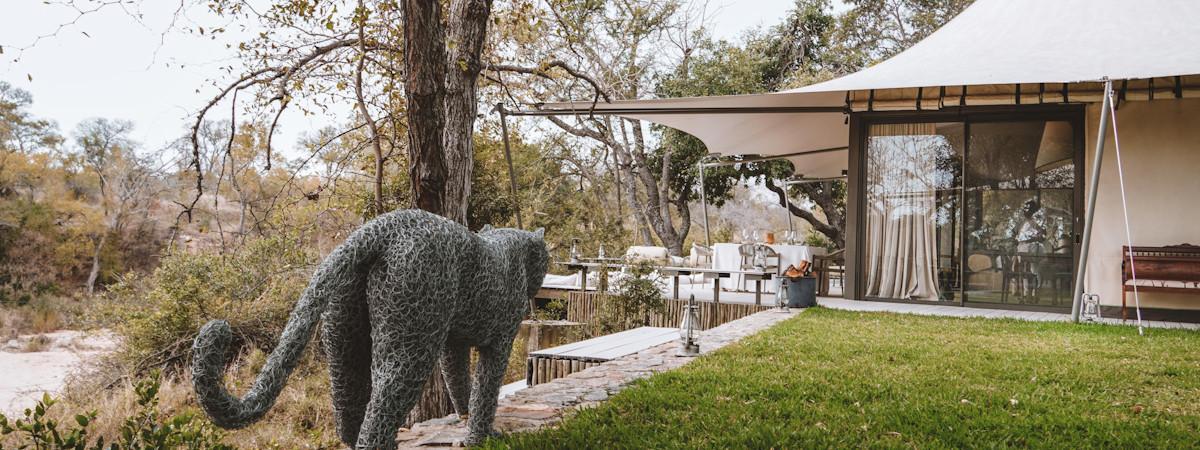 Experience Little Saseka in the Thornybush