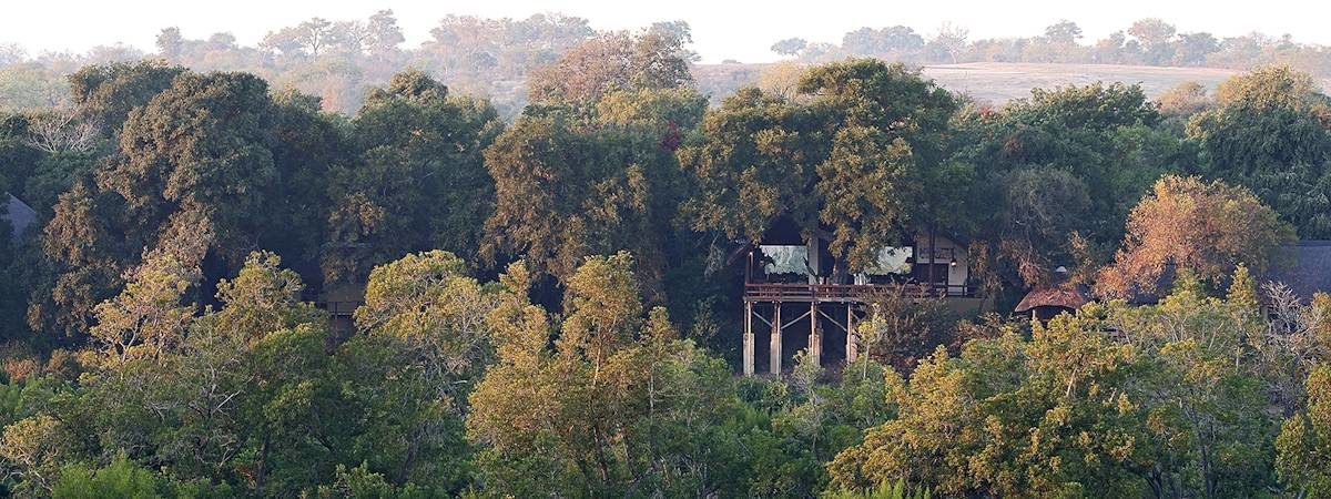 Londolozi Varty Camp
