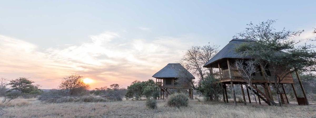 nThambo Tree Camp in the Klaserie