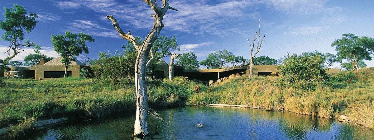 Sabi Sabi Earth Lodge