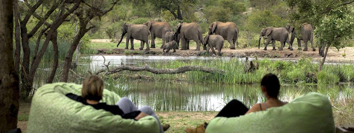 Tanda Tula Safari Camp