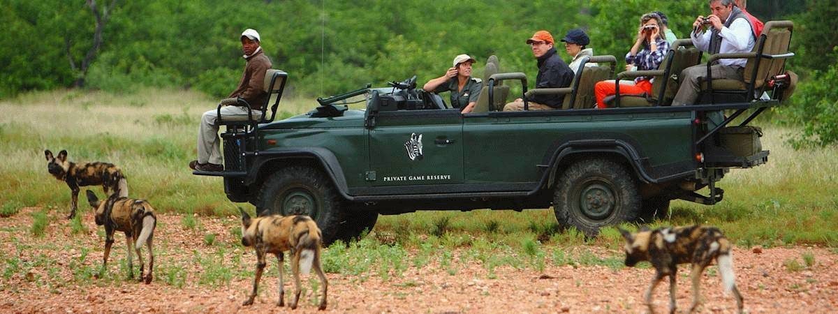 Timbavati Fly In Safari