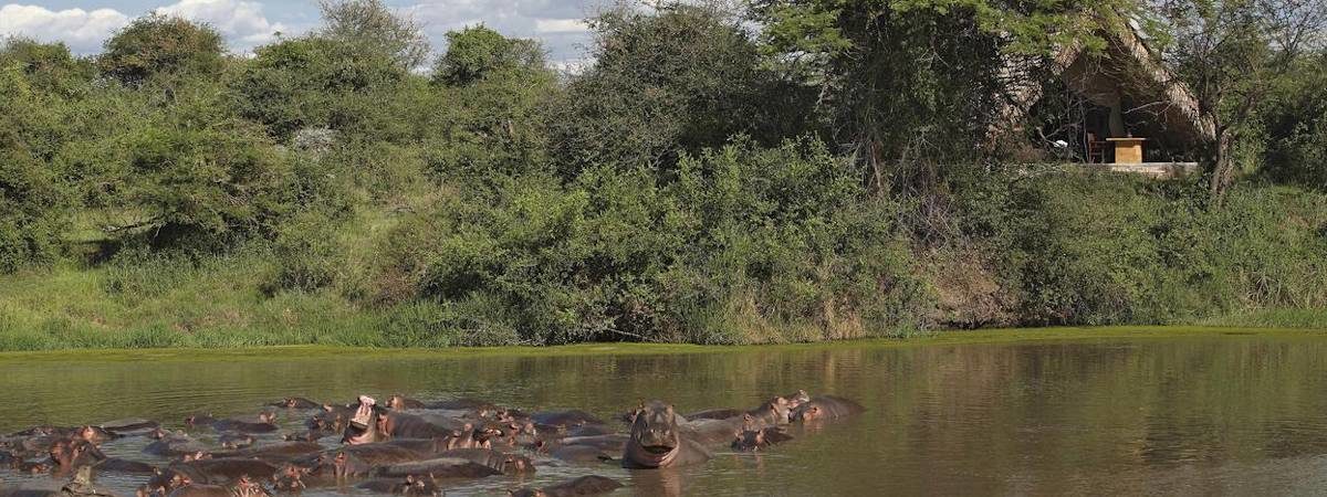 Grumeti Serengeti Tented Camp