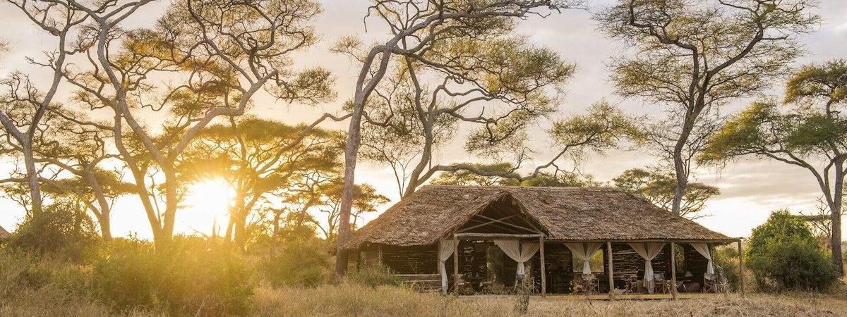 Kuro Tarangire in the Tarangire National Park