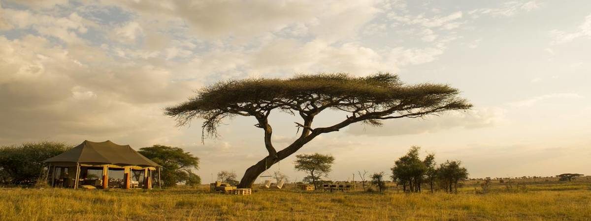 Namiri Plains