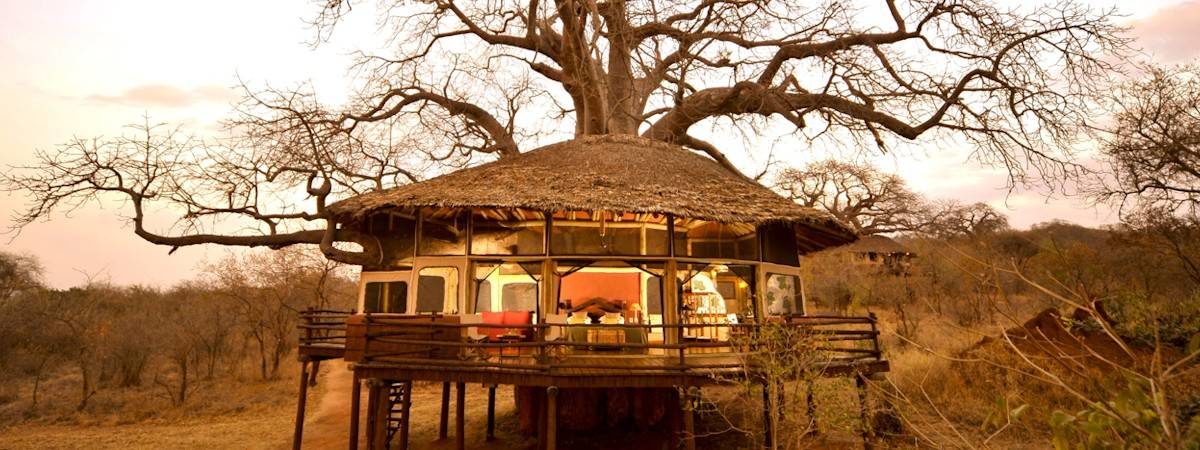 Tarangire Treetops Lodge