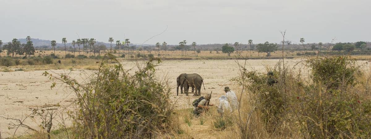 Ruaha National Park