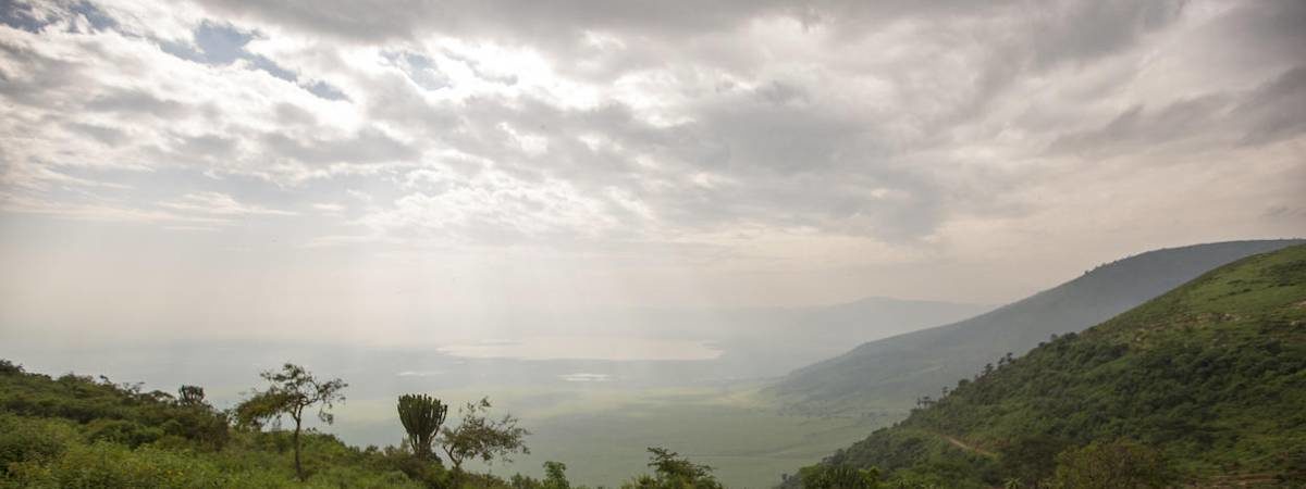 Craters, Creatures and Culture safari