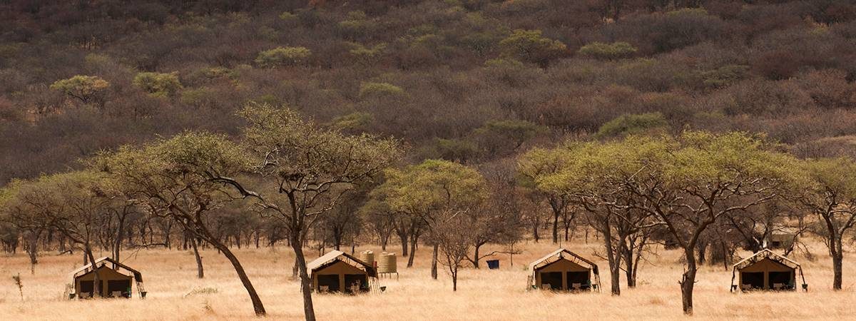 Great Encounters Safari