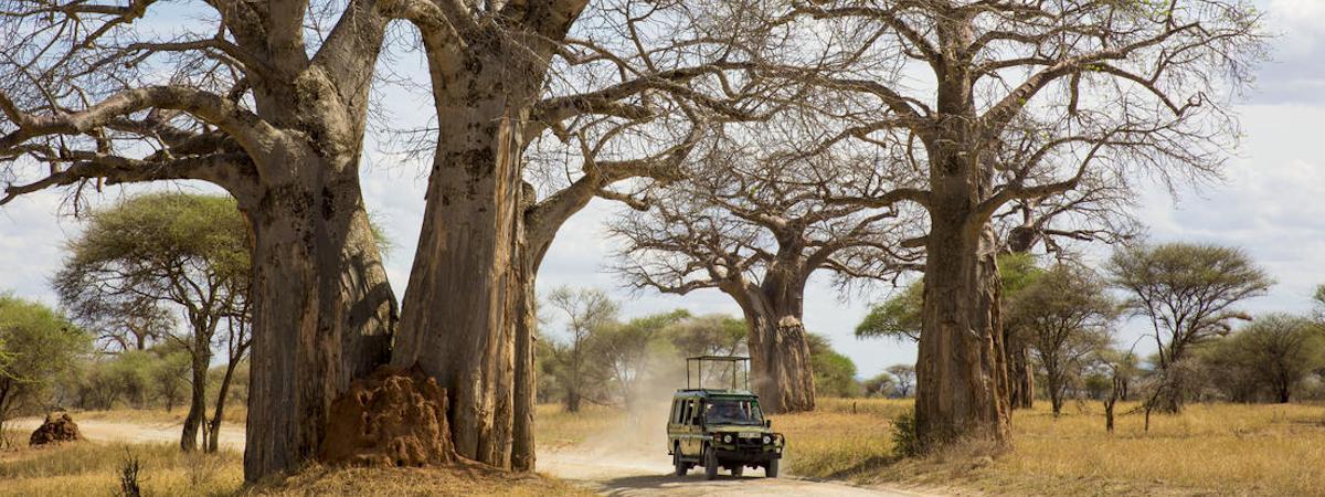 Southern Tanzania & Zanzibar Safari