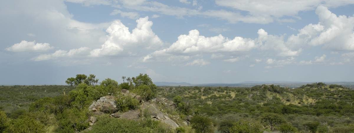 Tanzania Shores and Savannahs