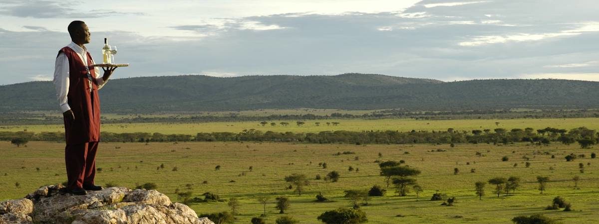 Wild Wings Safari