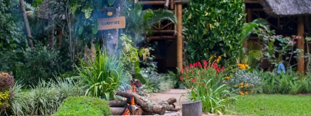 Forest Camp near to the Kibale National Park, Uganda