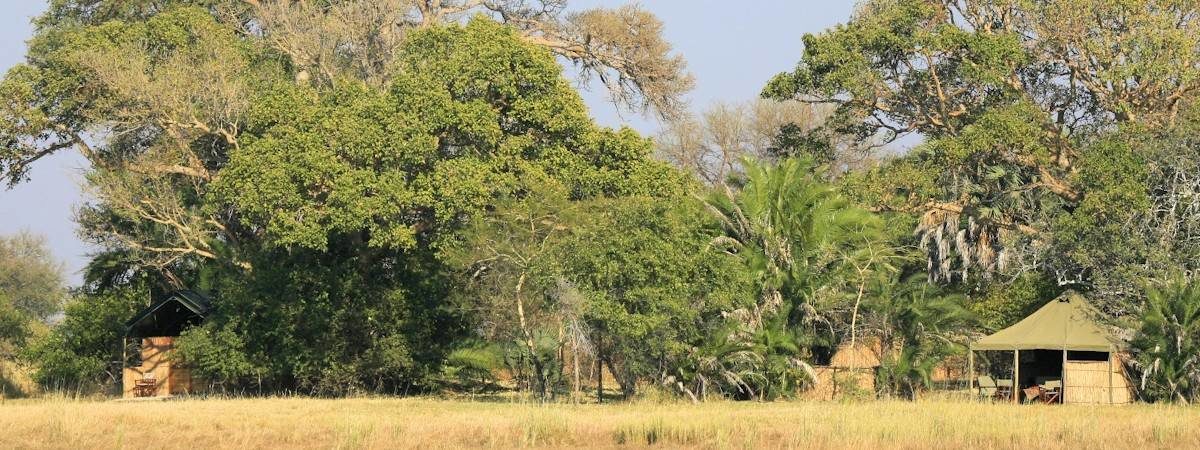 Busanga Bush Camp in Kafue National Park