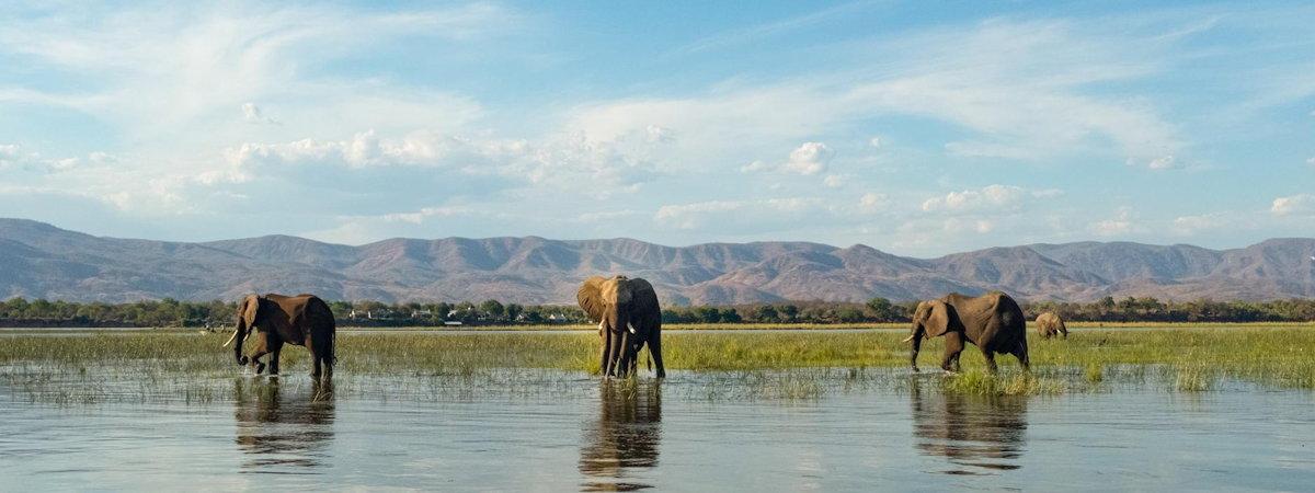 Zambezi Grande Luxury Lodge