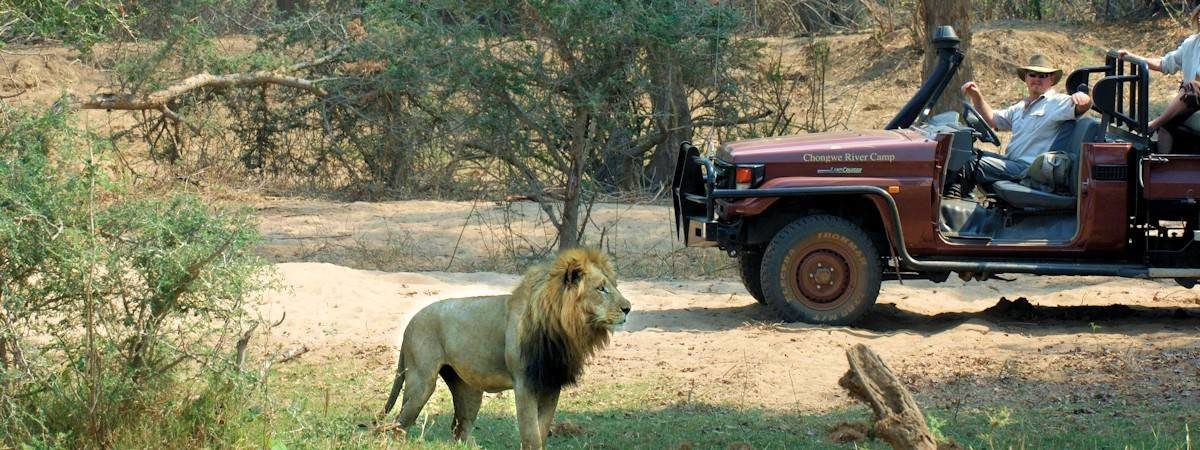 8 Day Zambia Luxury For Less Safari