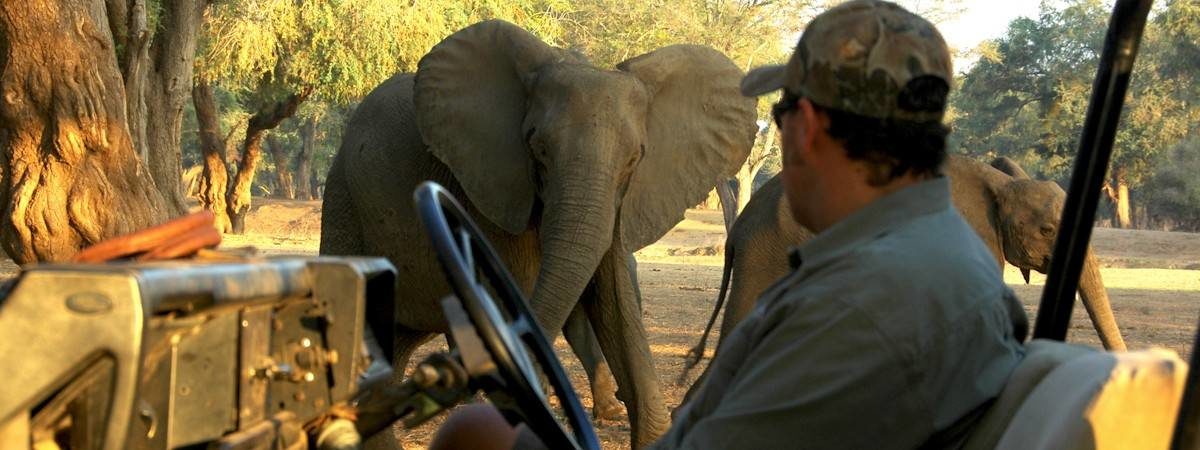 Chikwenya Safari Lodge