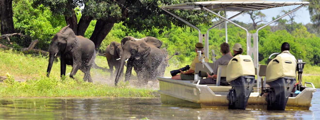 Wildlife destinations and attractions in Botswana
