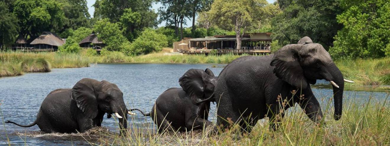 Safari Lodges And Camps In Botswana