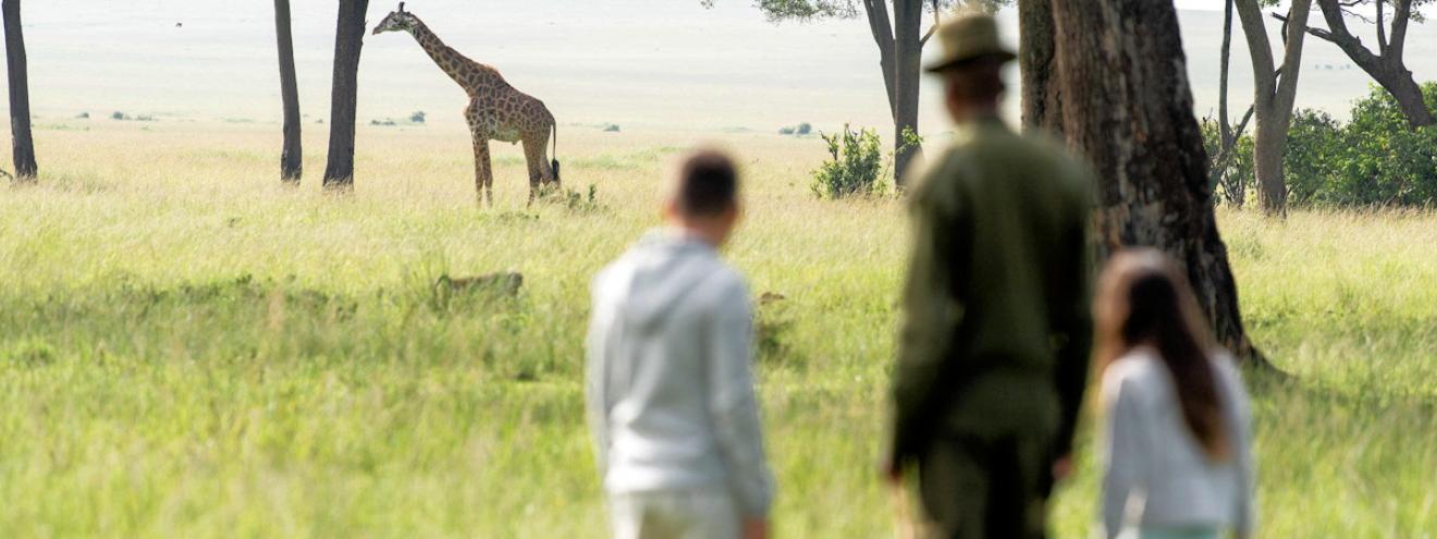 Kenya Family Friendly Lodges