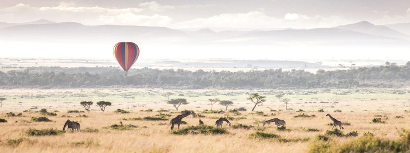 Showcasing the very best of Kenya