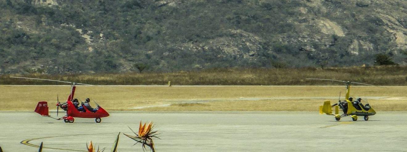 Day Tours in the Kruger National Park