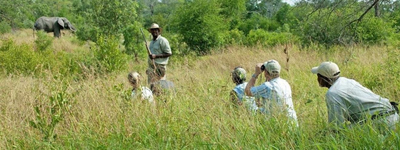 Safaris and Tours in the Kruger National Park