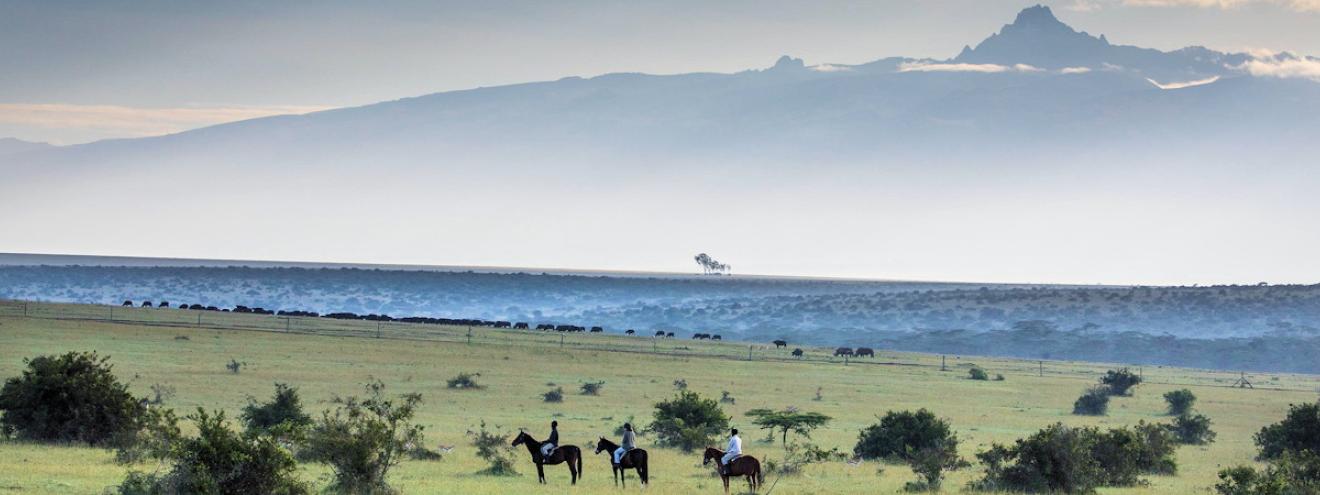 Laikipia Plateau Lodges and Safari Camps
