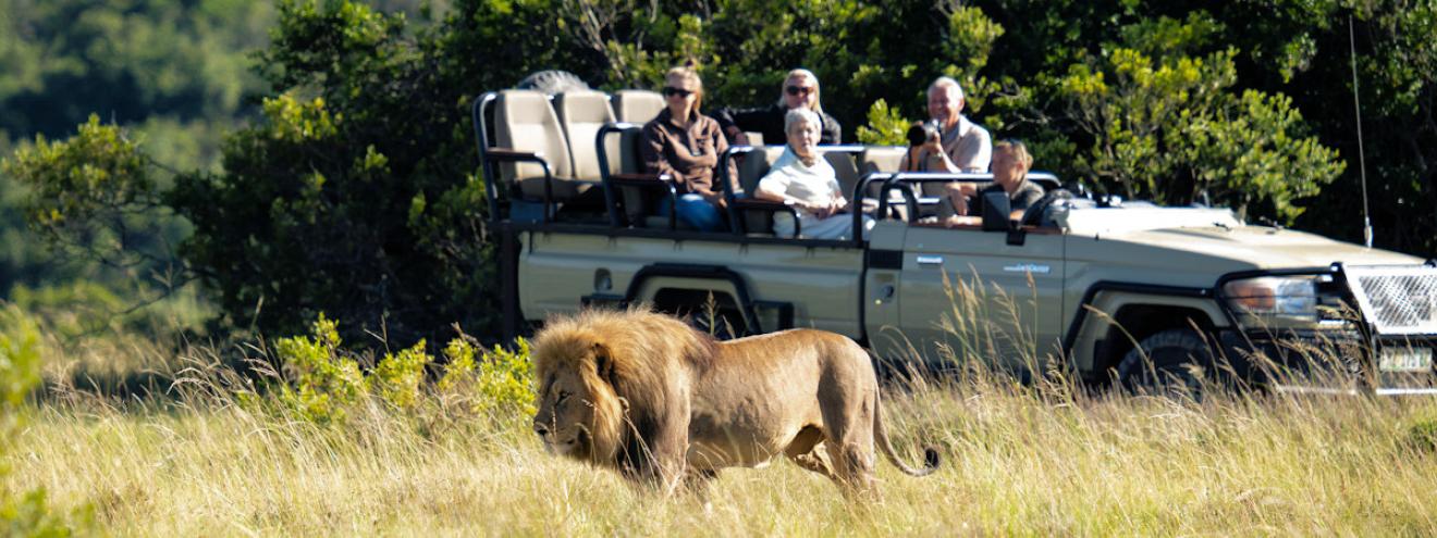 Safari lodges in the Lalibela Game Reserve