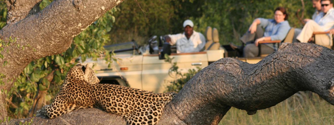 Manyeleti lodges and safari camps