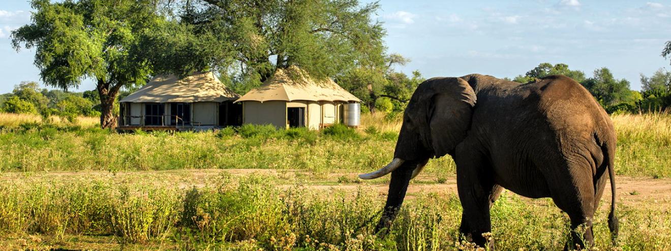 Remote and wild lodges in Zimbabwe