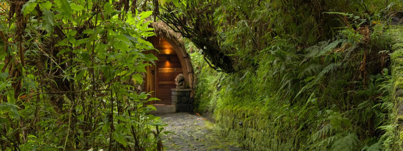 Rwanda lodges visited: a mossy stone path leading to a lit timber and thatch doorway in dense rainforest