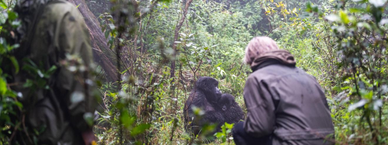 Travel and safari guide to Rwanda