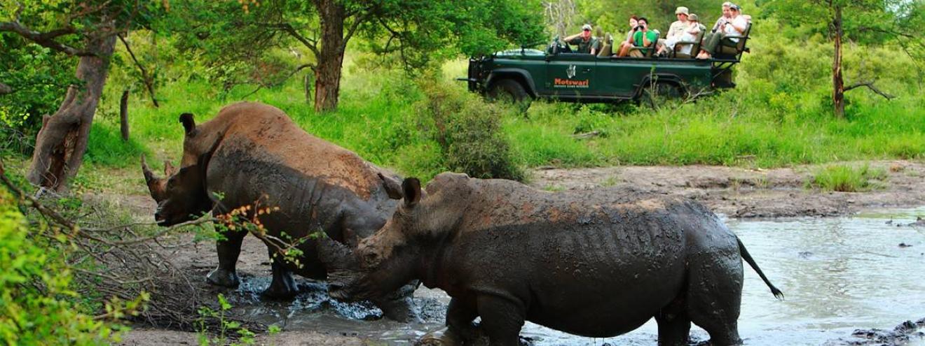 Safaris in Africa gorilla trekking Great Migration Okavango Delta walking canoe fly-in self-drive safari