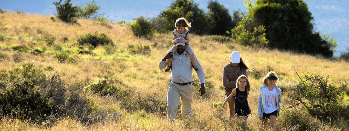 A safari guide carrying a young child on his shoulders leading a family through golden grassland on a South Africa family safari in the Eastern Cape