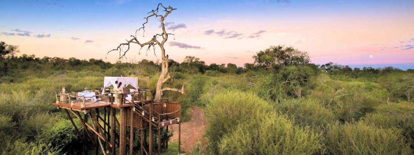 A couple enjoying a private candlelit dinner on an elevated bush deck above the treetops at a luxury South Africa safari package lodge at sunset