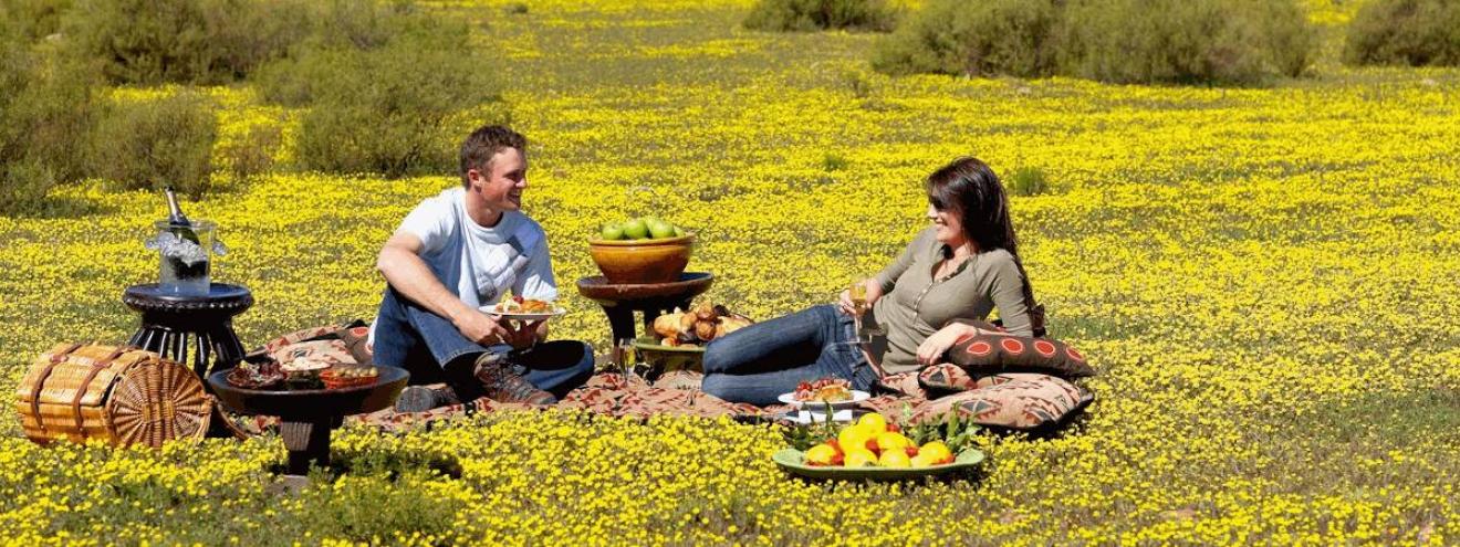 A couple enjoying a bush picnic surrounded by yellow spring wildflowers on a South Africa self drive safari through the Namaqualand