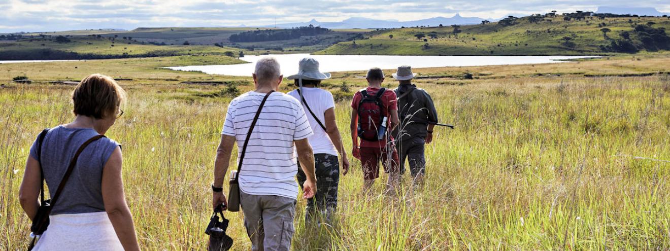 A small group of travellers walking through green grassland towards a lake on a South Africa walking safari with mountain views in the background