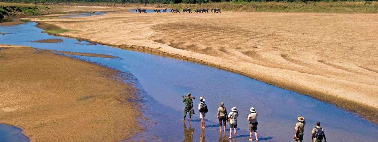 Safaris and holidays in Zambia