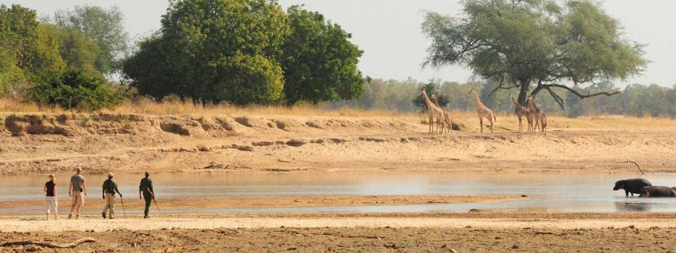 Travel and safari packages in Zambia